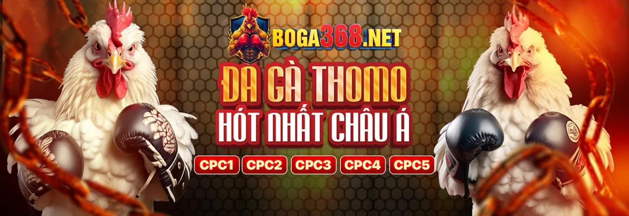 Hình ảnh blog qh99, cập nhật tin tức cá cược trực tuyến mới nhất
