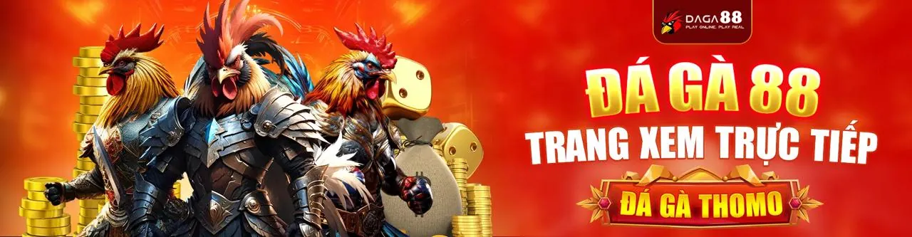 Đá Gà Trực Tuyến qh99 - Sân đấu gà kịch tính