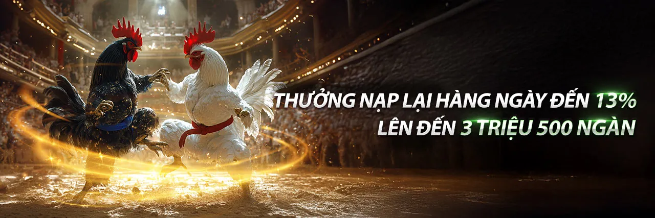 Hình ảnh sân vận động thể thao với các biểu tượng cá cược kỹ thuật số tại qh99